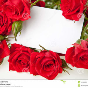 2TM-Bouquet de 12 roses + ferrero rocher  (rouge-blanche-saumon-rose- jaune)