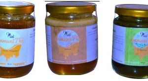 A1-Manjary Miel immuni thé bio (3 pots)